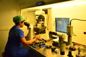 ivf2-img